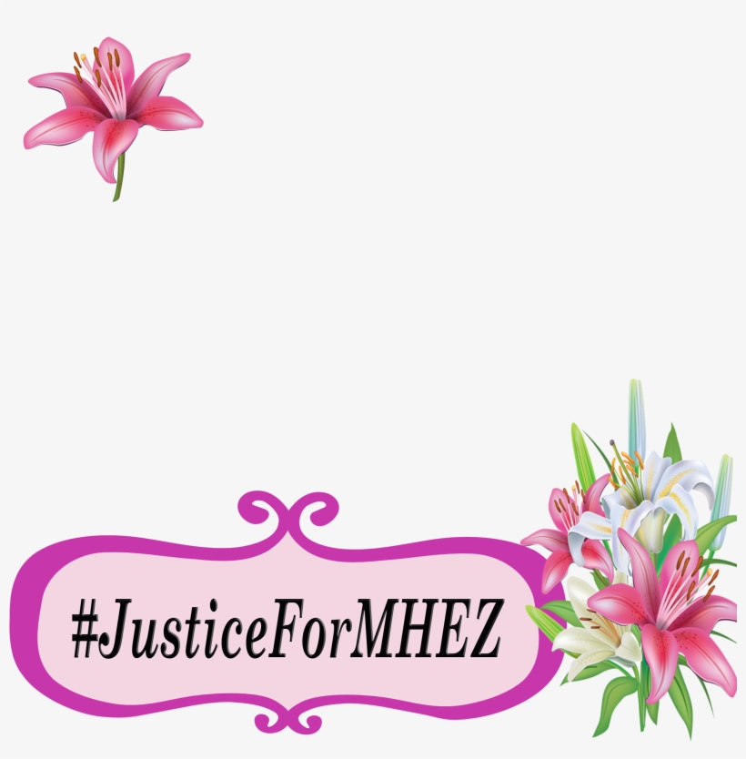 Contribute To Isupportcause - Lily, transparent png download