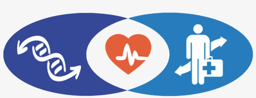 Enter Image Description Here - International Federation Of Medical Students' Associations, transparent png download