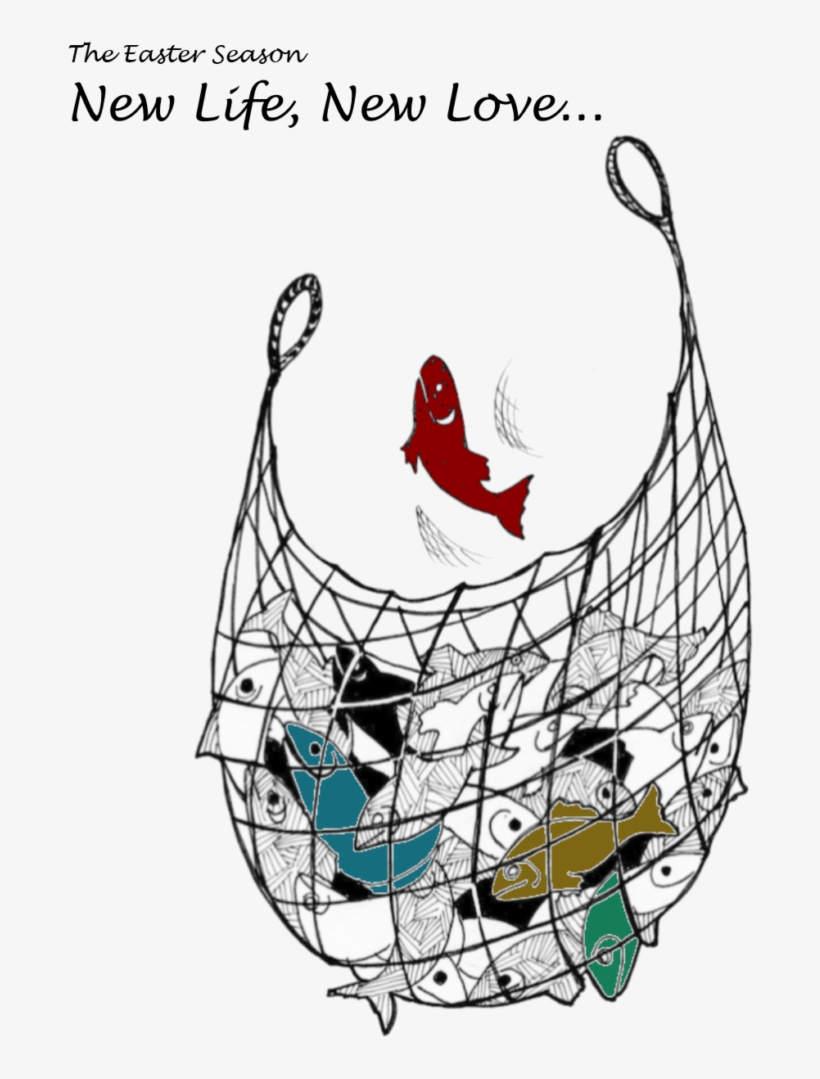 Sunday, May 5, 2019, Worship Bulletin, Prayer Concerns, - Illustration, transparent png download