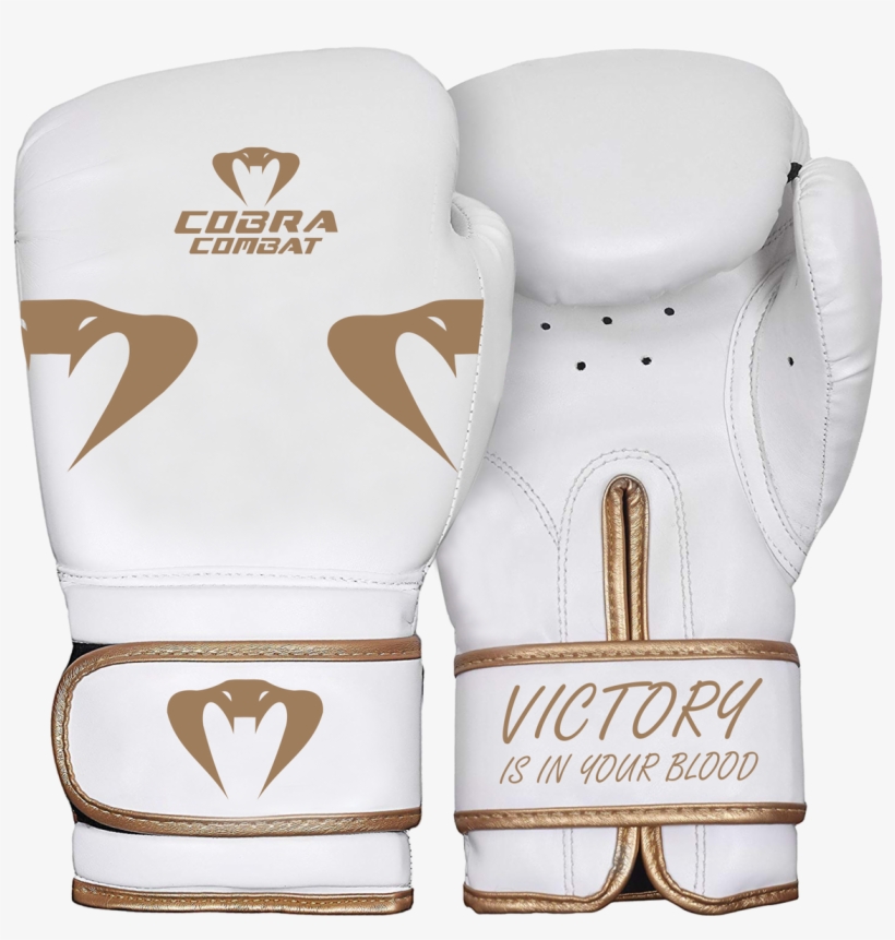 Hawk Boxing Gloves PNG Image Transparent PNG Free Download on SeekPNG