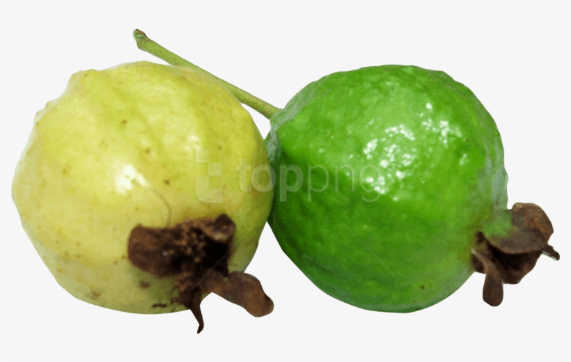 Free Png Guava Png Images Transparent - Guava Format Png, transparent png download
