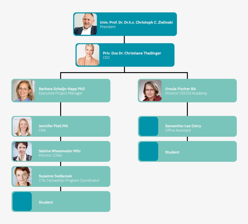 People - Parallel, transparent png download