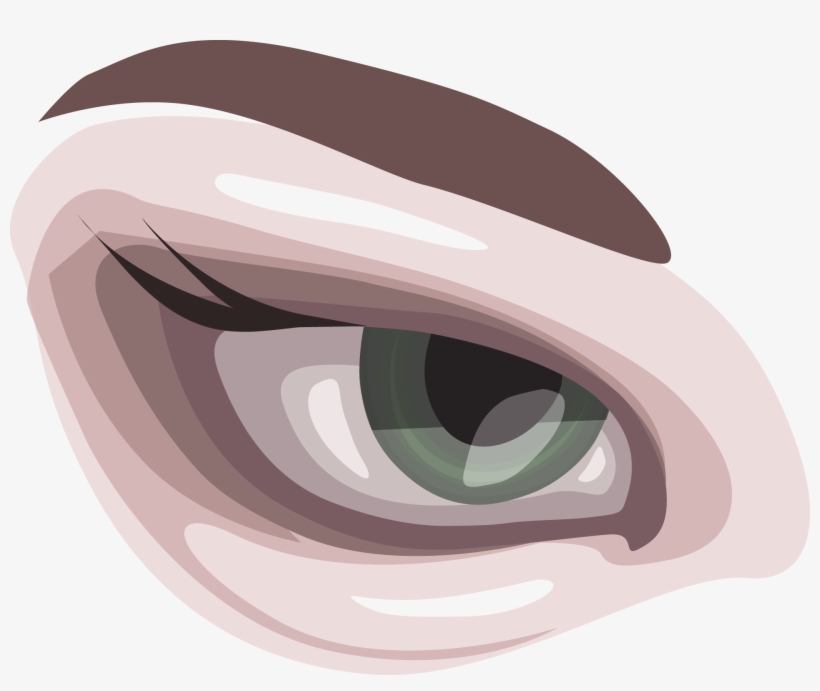 Brown Eyes Clipart Large Eye - Illustration, transparent png download