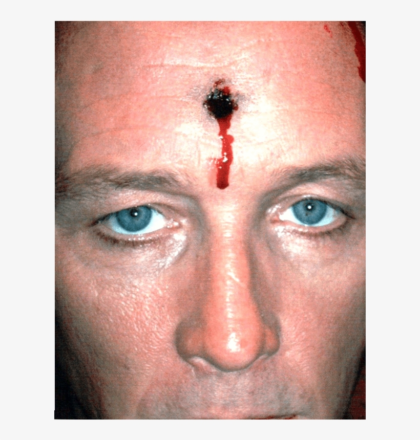 Special Effects Dana Mice Hamel Celebrity Makeup Artist - Visual Arts, transparent png download