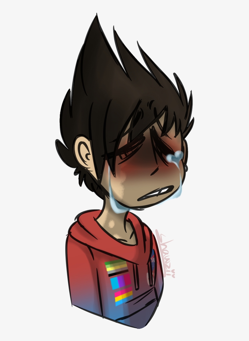 The Tears Shed Have Not Stopped Flowing They Just Refused - Cartoon, transparent png download