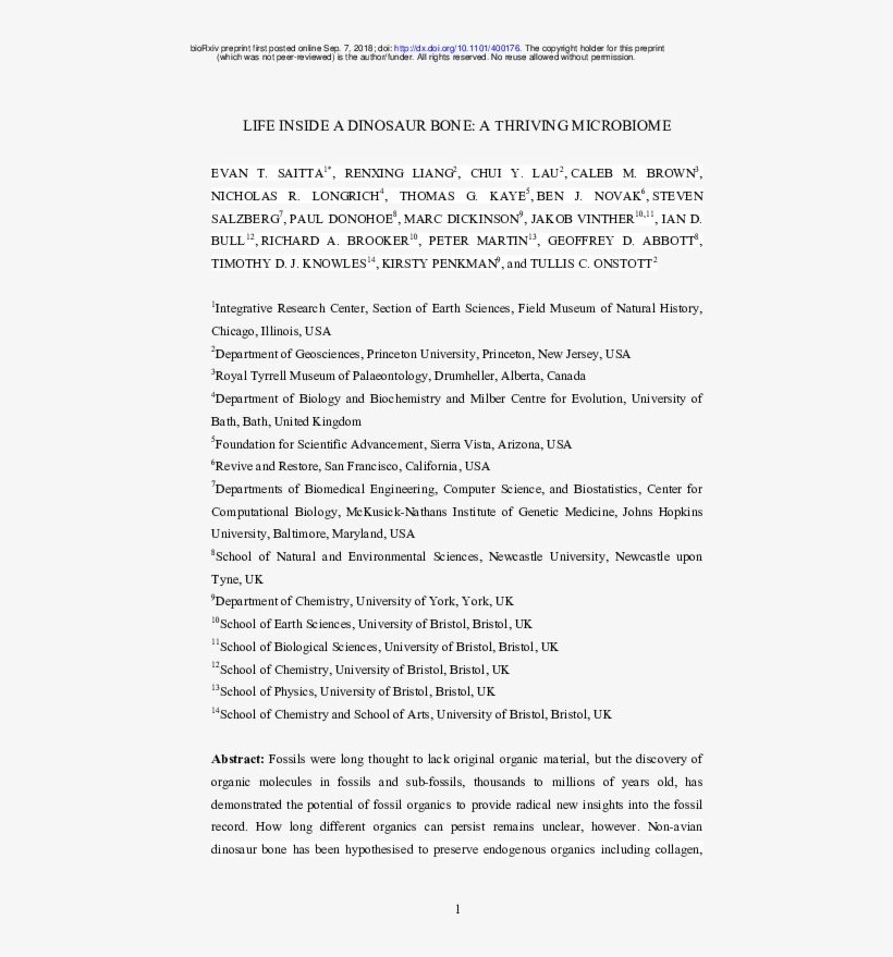 Pdf - Understanding Culture Is Important In Determining The, transparent png download