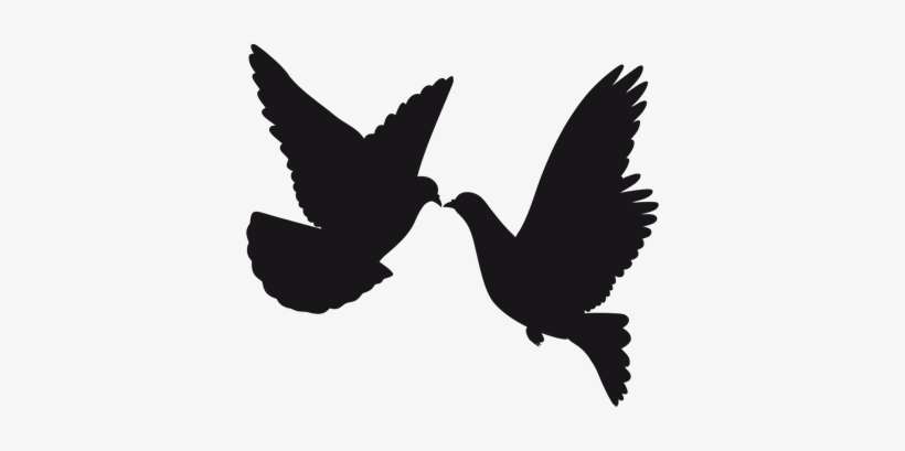 Silhoutte Doves Decal Silueta De Paloma Volando Png Image Transparent Png Free Download On Seekpng