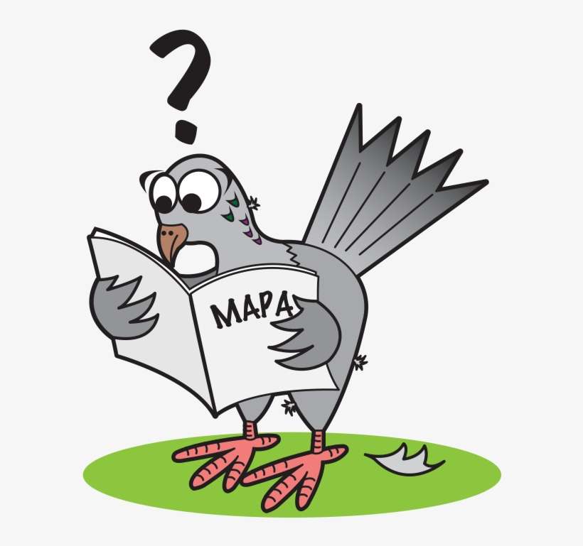 Paloma De Historieta Que Mira Un Mapa - Pigeon With Map, transparent png download