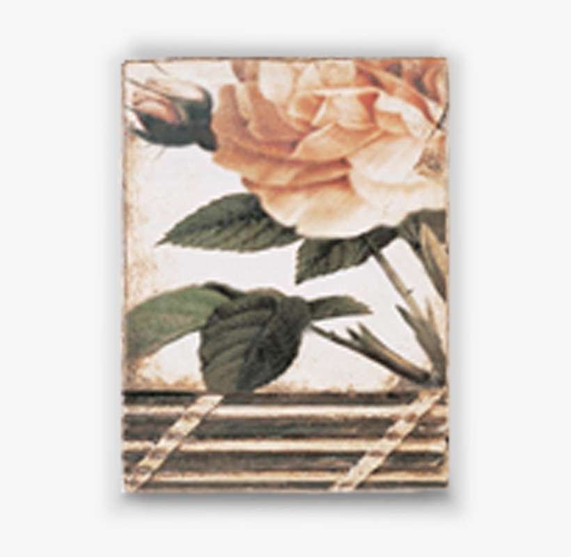 Blush - Monaco - Fall Collection - Sid Dickens Originals - Garden Roses, transparent png download