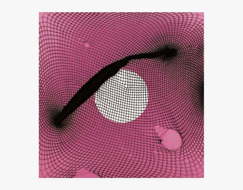 'saunter' Fishnet Sleeve - Stereogum, transparent png download