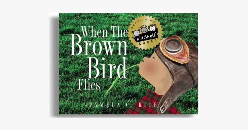 When The Brown Bird Flies By Pamela C - When The Brown Bird Flies, transparent png download