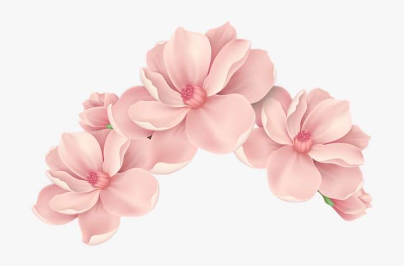 Report Abuse - Peach Flower Vector Png, transparent png download