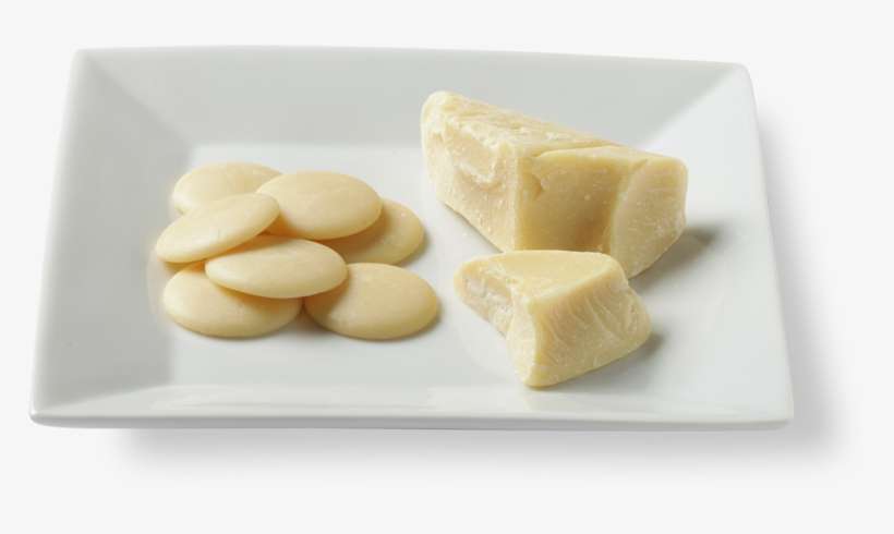 Cocoa Butter W Shadow - Cacao Tree, transparent png download