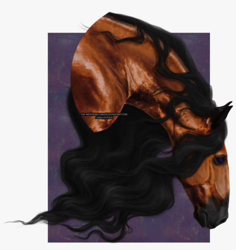 This Beautiful Gal Belongs To Befera Nirvana - Stallion, transparent png download