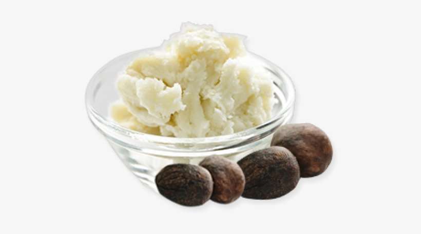 Shea Butter Oil Png - Coconut Oil And Shea Butter, transparent png download