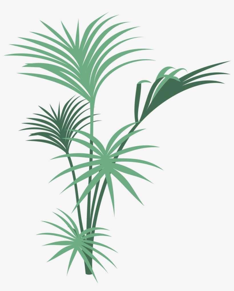 Transparent Plants Jungle - Jungle Plants Png Transparent, transparent png download