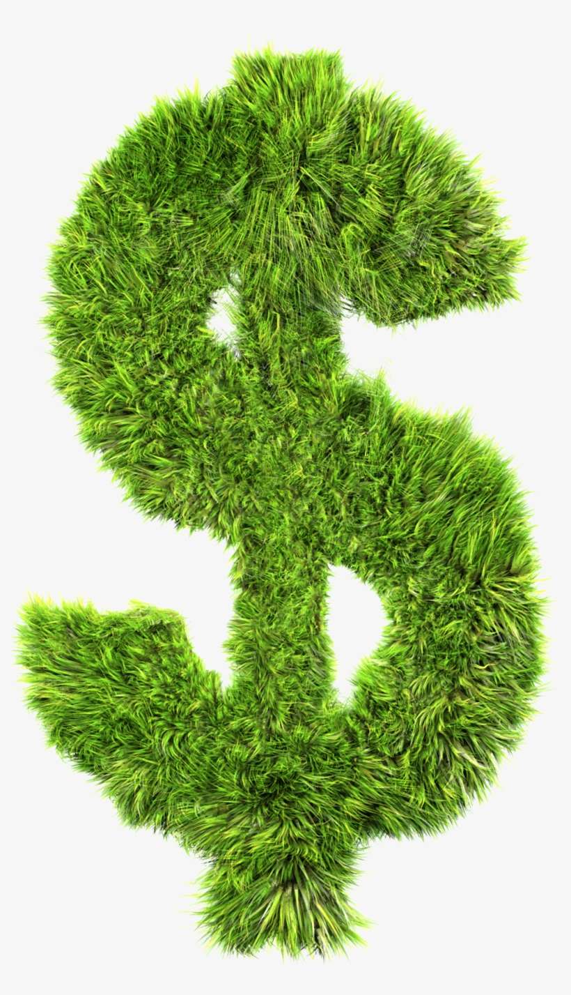 Stock Photography, transparent png download