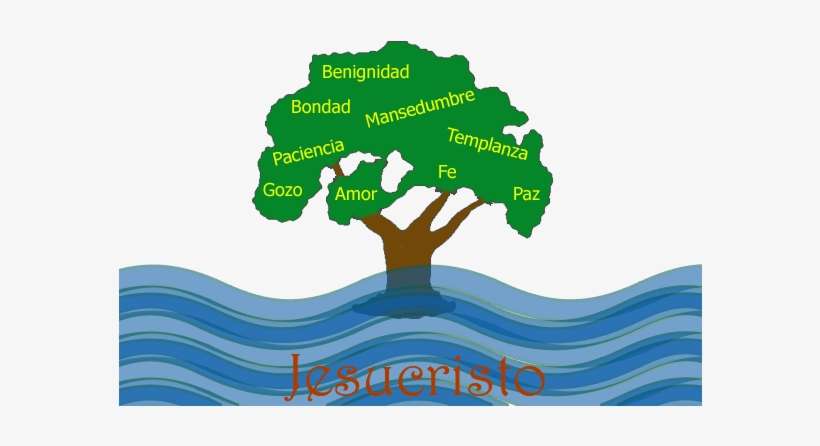 Un Cristiano Como Hemos Definido En Articulos Anteriores, - Harwood Park Primary School, transparent png download