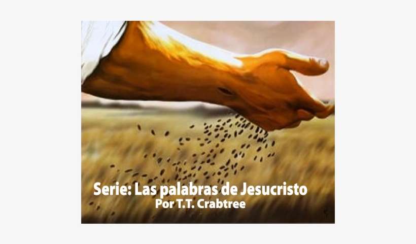 Las Palabras De Jesucristo Serie - Sower Garrett Walker, transparent png download
