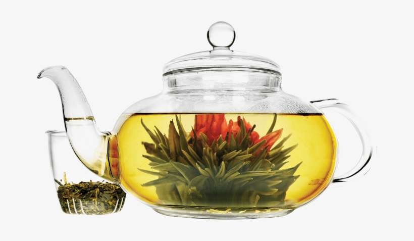Primula 40-oz. Daisy Glass Tea Pot, Clear, transparent png download