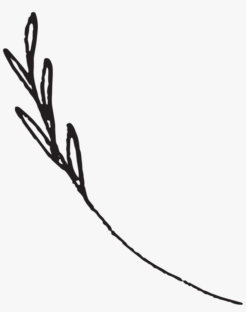 Laurels-flowers 0003 - - Portable Network Graphics, transparent png download