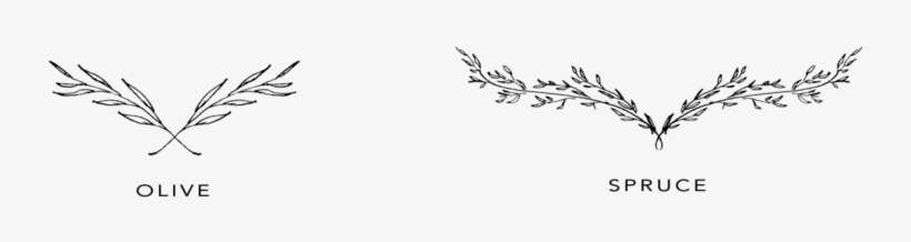 Laurels - Hand Drawn Laurel Png, transparent png download
