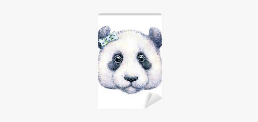 Panda On White Background - Art Print: Margaritash's Water Color Drawing, transparent png download