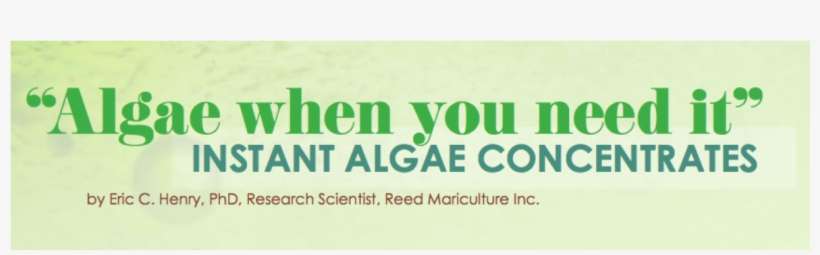 "algae When You Need It" Instant Algae Concentrates - Post Traumatic Stress Disorder, transparent png download