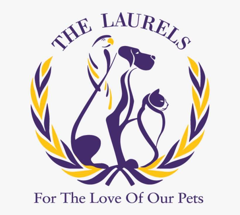 Gallery - Recep Tayyip Erdoğan, transparent png download