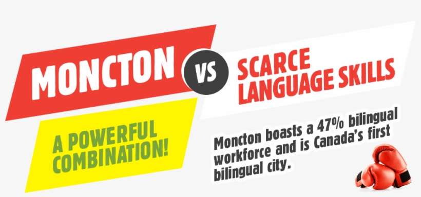 Text Scarce Language - Vans Warped Tour 15th Anniversary, transparent png download