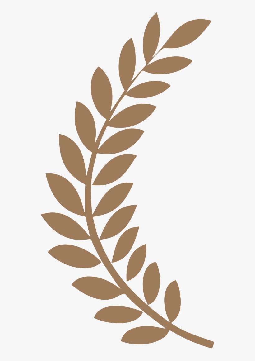 Download Film Festival Laurels Clipart Film Festival - Film Festival Laurels, transparent png download
