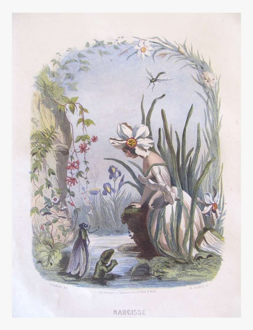 Antique Grandville Print Lady Flowers Engraving With - Art Print: Narcisse : 17x11in, transparent png download