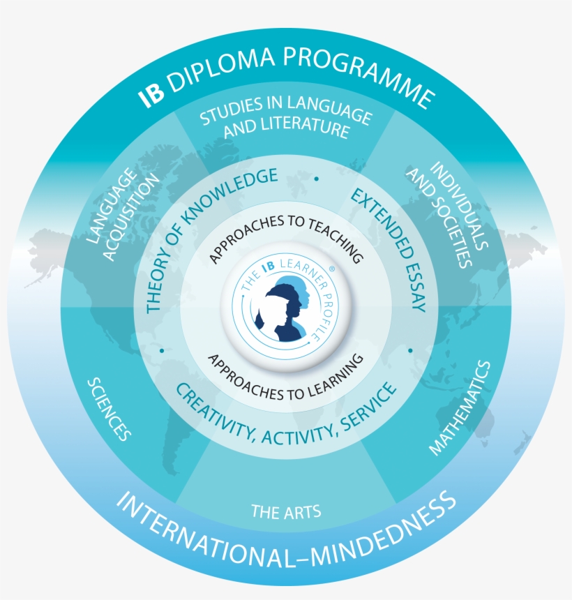 Diploma Programme Model Colour [2 - Ib Dp, transparent png download