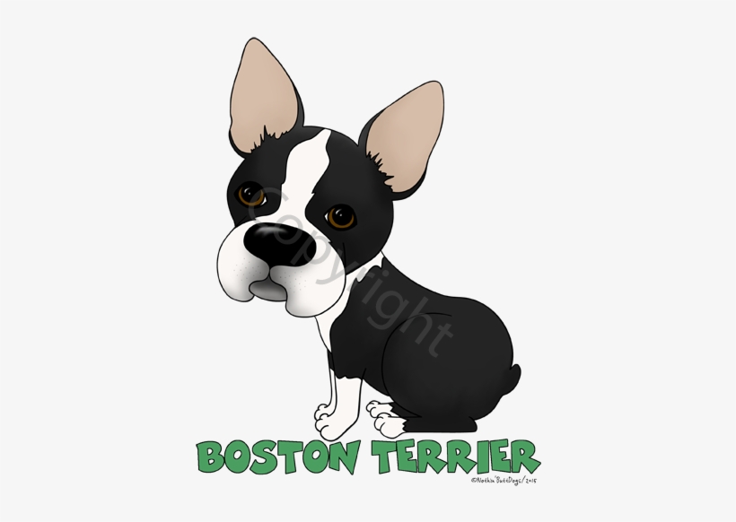 Big Nose Boston Terrier Women's Tank Top - Boston Terrier, transparent png download