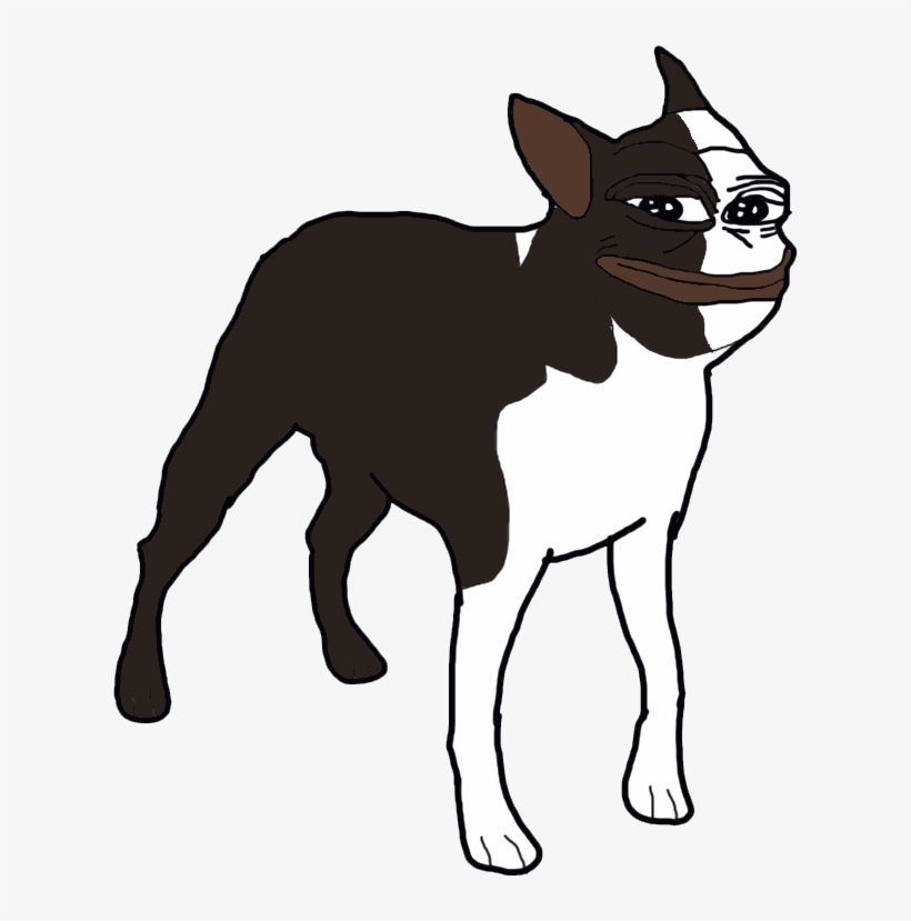 First Ever Boston Terrier Pepe - Boston Terrier, transparent png download