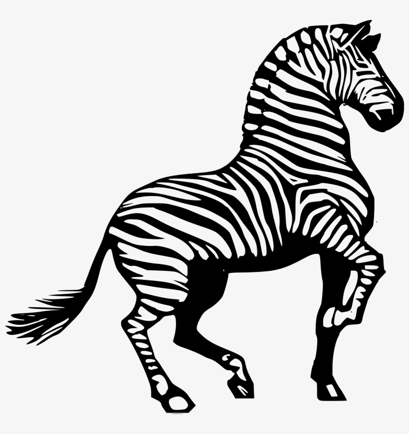 Download Black And White Lion Zebra Animal Print - Clipart Of Zebra, transparent png download