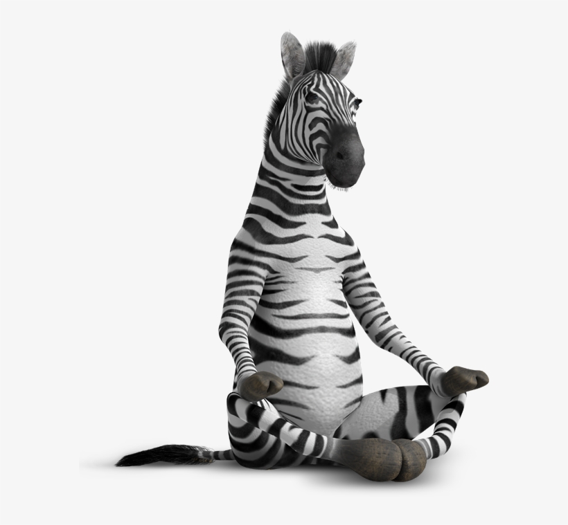 Zebra - Pen And Ink Zebra, transparent png download