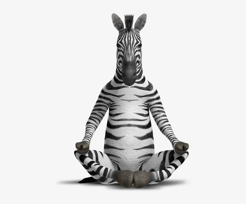 Zensations Double Ended Fine Brush Pen - Zebra Zen, transparent png download