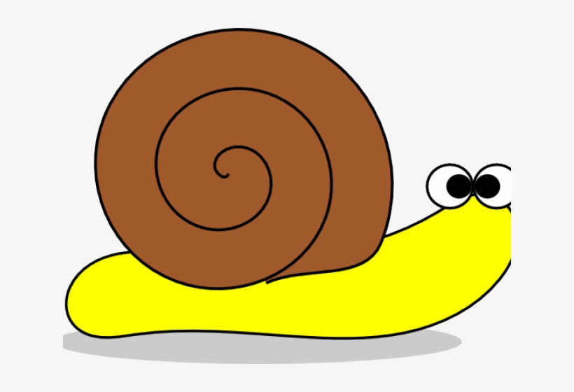 Snail Clipart Small Snail - Transparent Clipart Snails, transparent png download