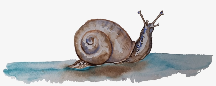 Banner Transparent Download And The Big Balloon Common - Garden Snail, transparent png download