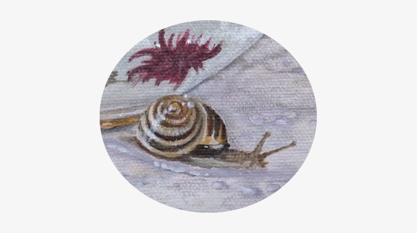 Why Not Bring Out Old Family Heirlooms From The Back - Shell, transparent png download