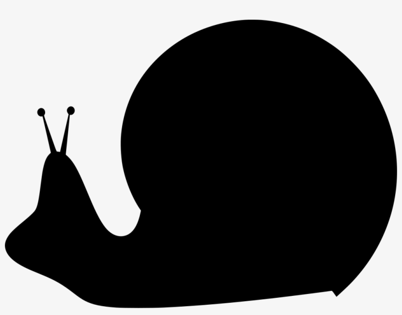 Download Png - Snail, transparent png download