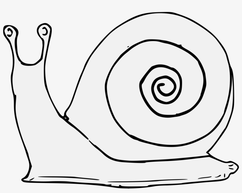 Details, Png - Illustration, transparent png download