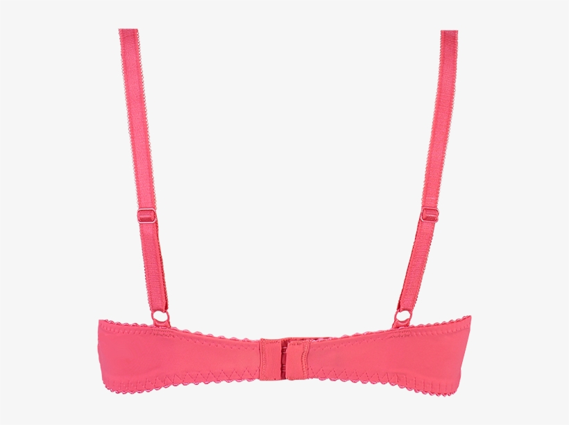 Bra, transparent png download