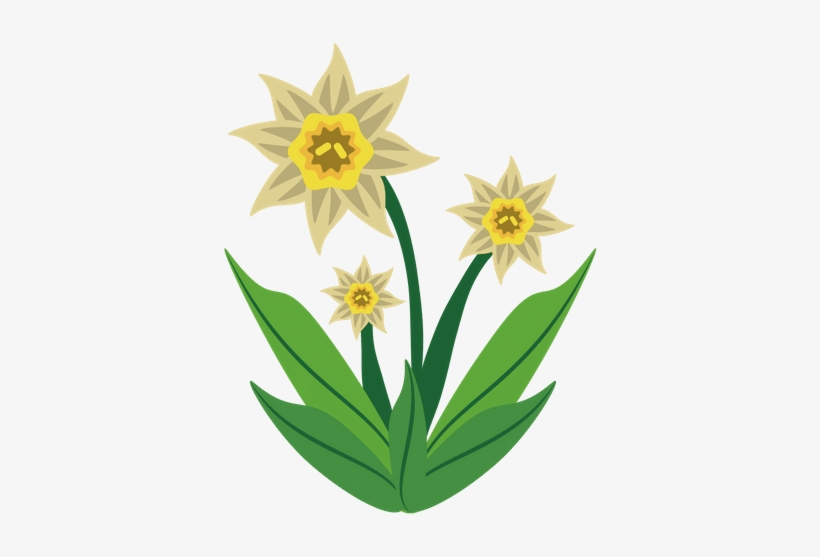 Daffodil - 0shares - Vector Graphics, transparent png download