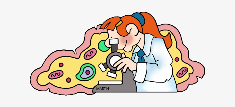 Science Clipart Play - Cells Clip Art, transparent png download