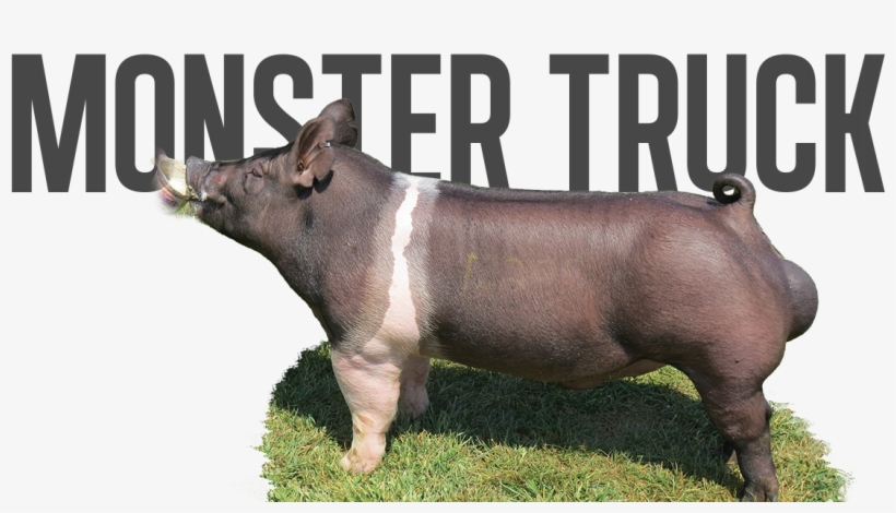 Monster Pipe X Big Stick - Hotel, transparent png download