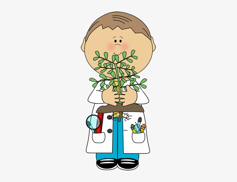 Plant Science Cliparts - Clipart Science Kids, transparent png download