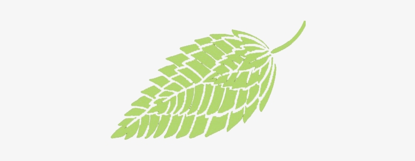 Vector Transparent Cleaning - Vector Graphics, transparent png download