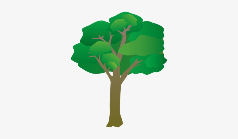 Ian Symbol Generic Tree Summer - Tree Symbol, transparent png download